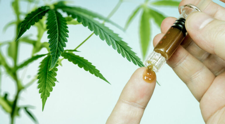 Everything you need to know about CBD Softgels