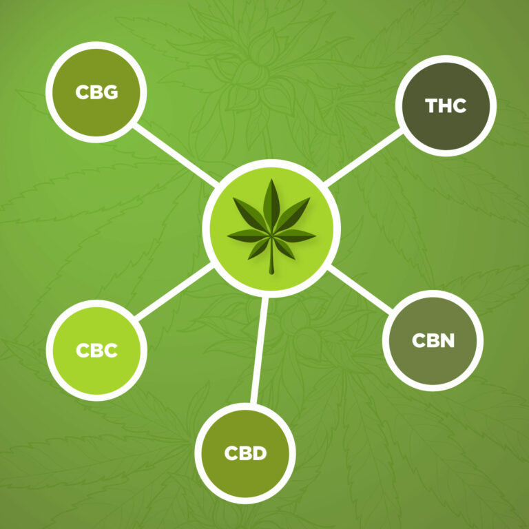 TERPENES AND CBD - WHAT’S THE BIG DEAL?