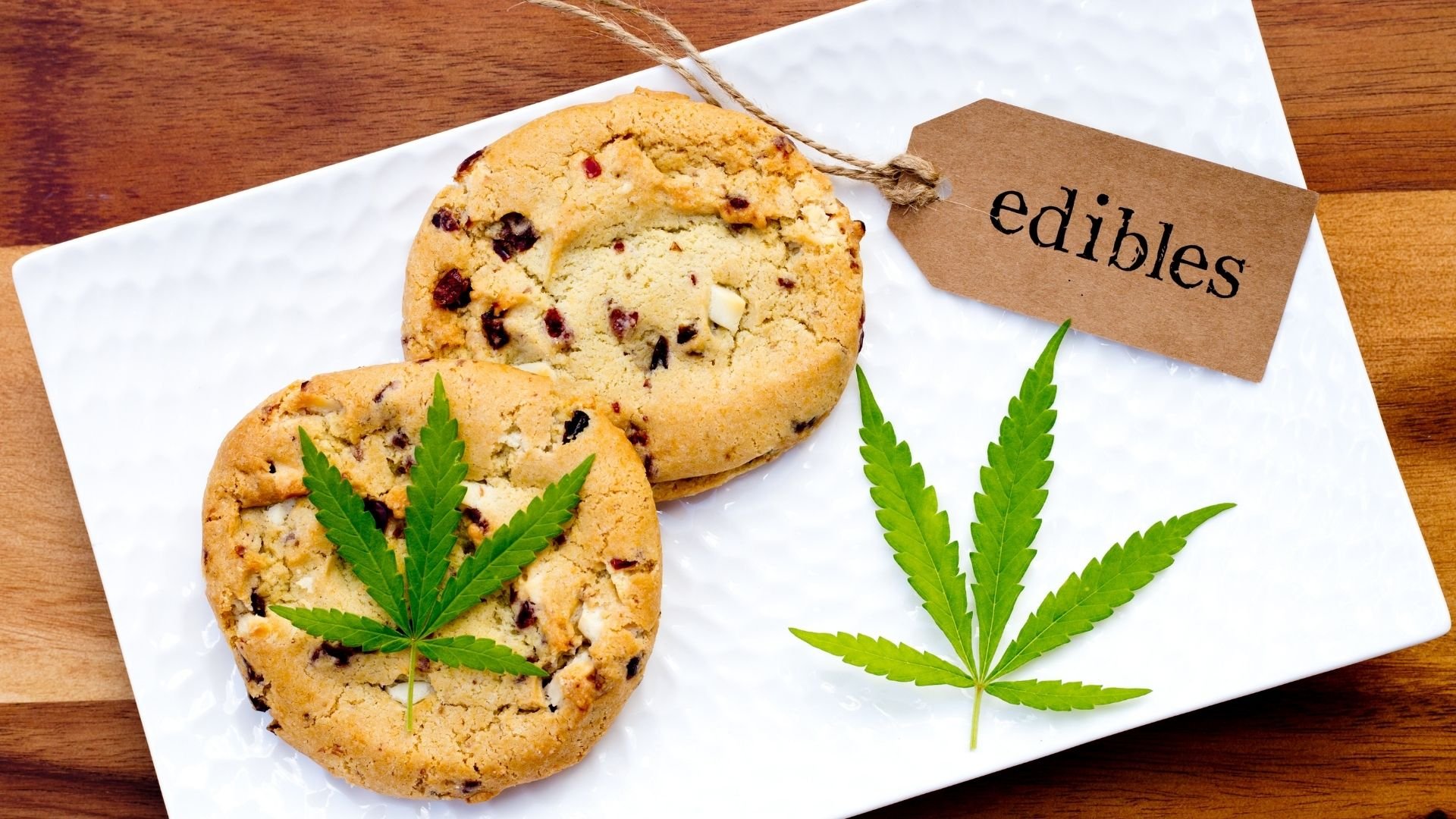 Pacific CBD Co CBD Edibles Guide: Dosage, Effect And Tips